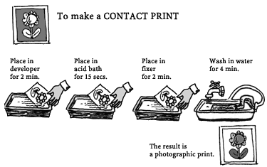 illustration of how to make a contact print